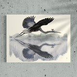 Flying Great Blue | Open Edition Artwork