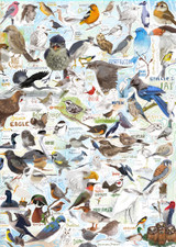 Birdie's Birds | Greeting Card