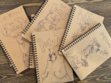 Book of Ideas Journal | with Original Ludy Drawing on Cover