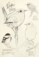 Wren & Warbler | Greeting Card
