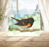 American Redstart | Greeting Card