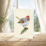 Ruby-Crowned Kinglet | Greeting Card