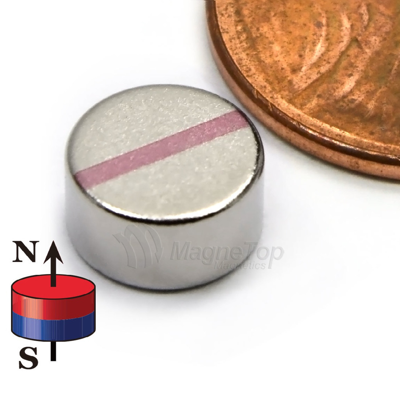 Neodymium Disk - 8mm x 4mm