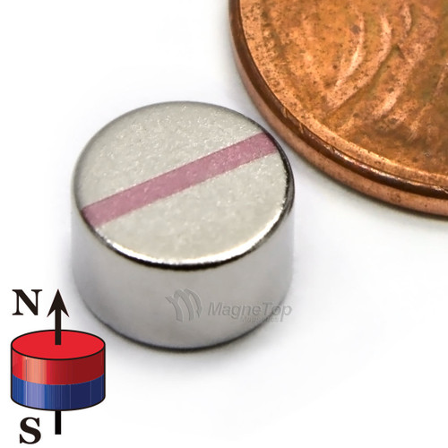 Neodymium Disk - 8mm x 5mm