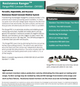 Dual Conductor Resistance Monitor - CM1600 - Data Sheet 1