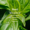 Basil Multi-Surface Everyday Cleaner
