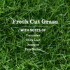 Fresh Cut Grass Dish Soap