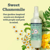Sweet Chamomile Dog Deodorizing Spritz