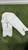Signature X  Wicket Keeping Pads