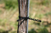 The 7"  Vine tie is an easy to use adjustable and reuseable vineyard tie.