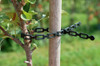 Adjustable 7" Vine Tie.