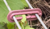 Standard (PURPLE) Catch Wire Clips