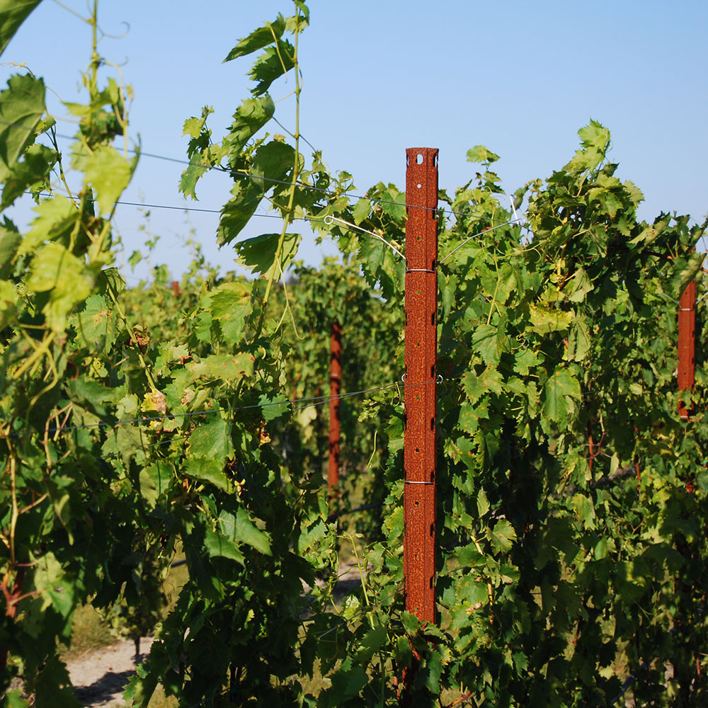 Steel Line Post C1 Maxi Corten (Weathering Steel) Line Posts
