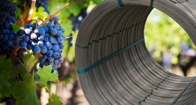 4-Life PLUS Vineyard Wire