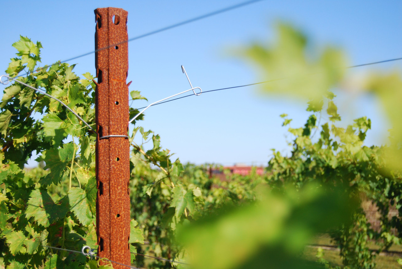 C1 maxi corten line post with wire spreader