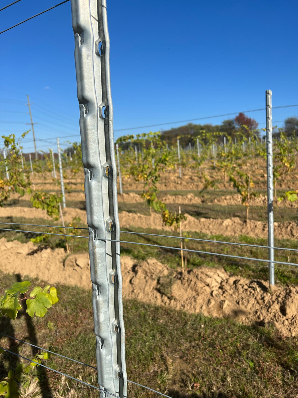 C1 Maxi Zincor Steel Line Posts