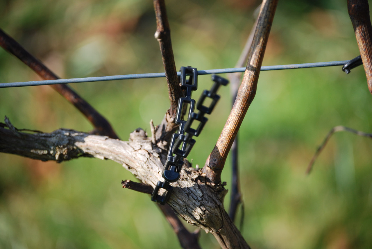 The Vine Tie is a flexible easy to use chain-link type tie ideal for tieing trunks and cordons.