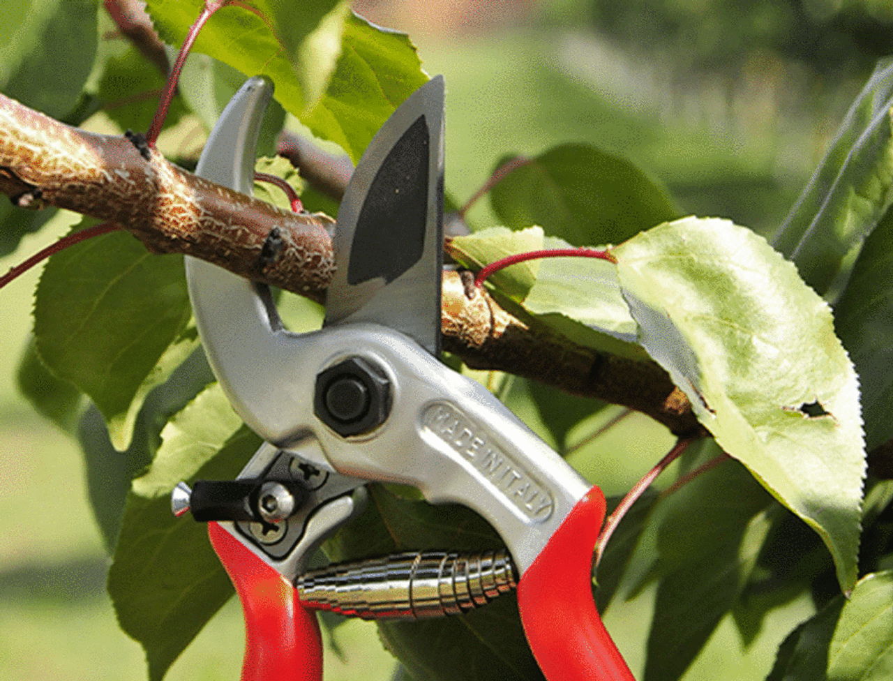 The Castellari UNIVERSAL pruner can be used by left handed and right handed users