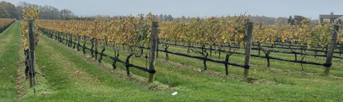 Tightloch®- Permanent Style Side Netting Tightloch®- Permanent Style Side Netting
