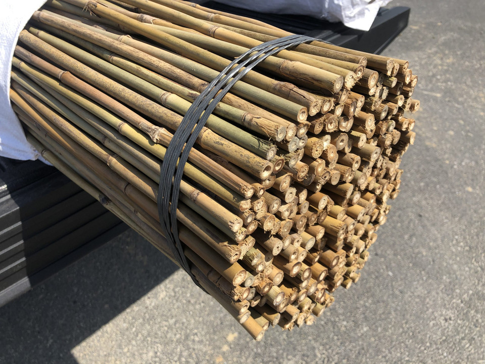 Bamboo Stakes