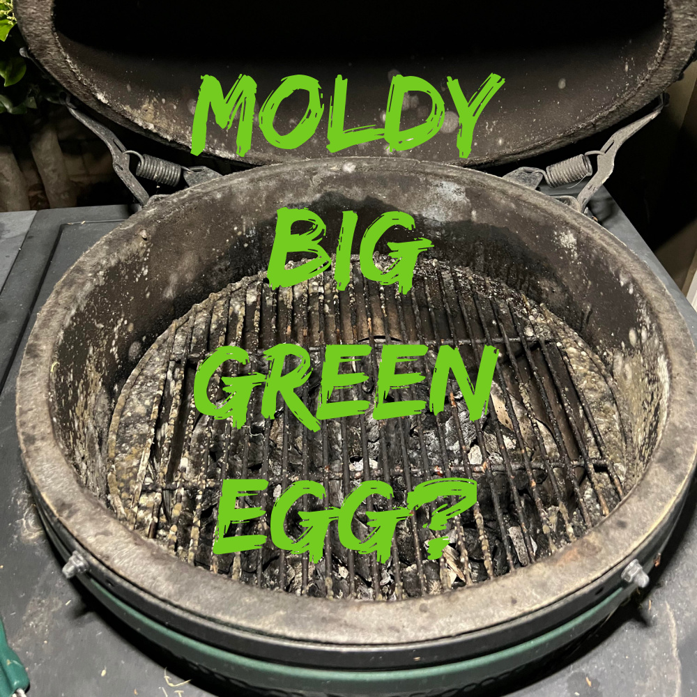 What Causes Mold in a Big Green Egg and how to Kill it