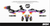 PHOENIX Sport Series Full Graphics Kit (All Bikes)