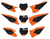 S2 KTM Number Plates by SKDA