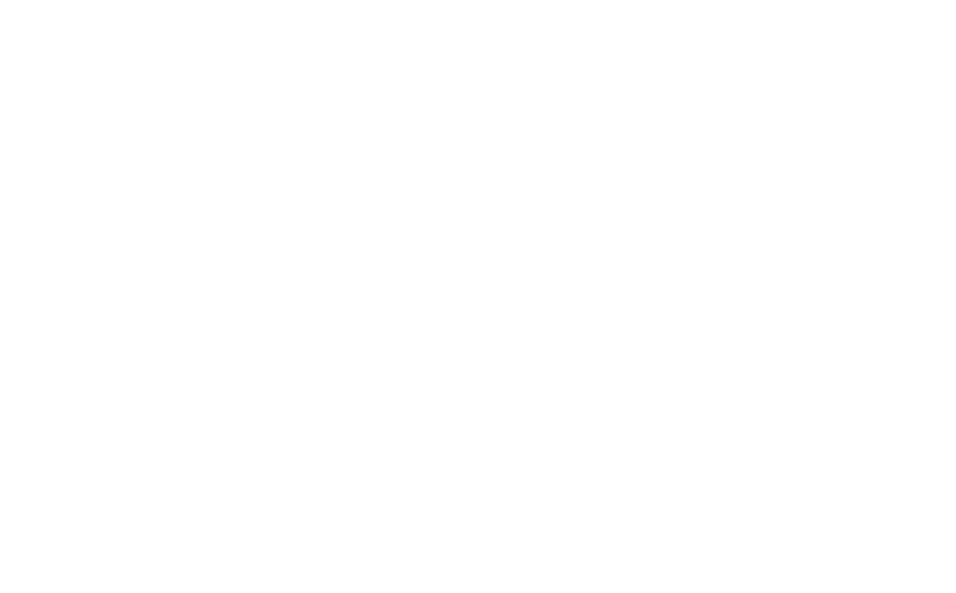 Maestro