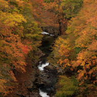 Autumn in Japan