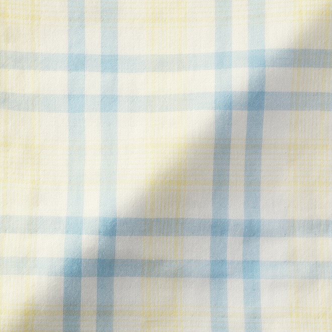 Light Blue Check