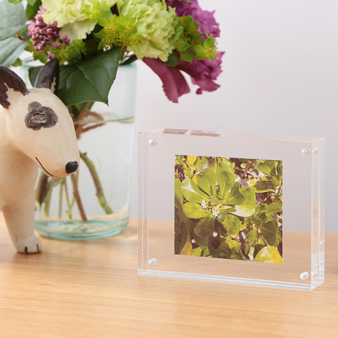 Acrylic Magnetic Photo Frame L