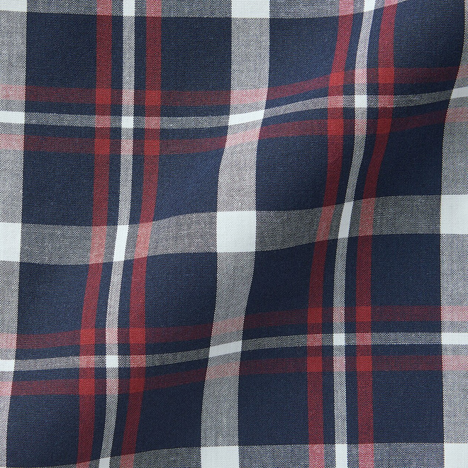 Navy Check