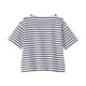 Navy Stripes
