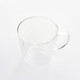 Double Wall Glass Mug