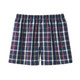 Navy Check