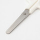 Stainless Scissors