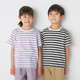 Blue Stripes