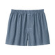 Saxe Blue Check