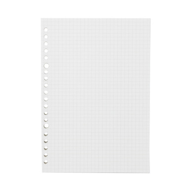 Muji | Loose Leaf Graph Paper A5 ‐ 5Mm