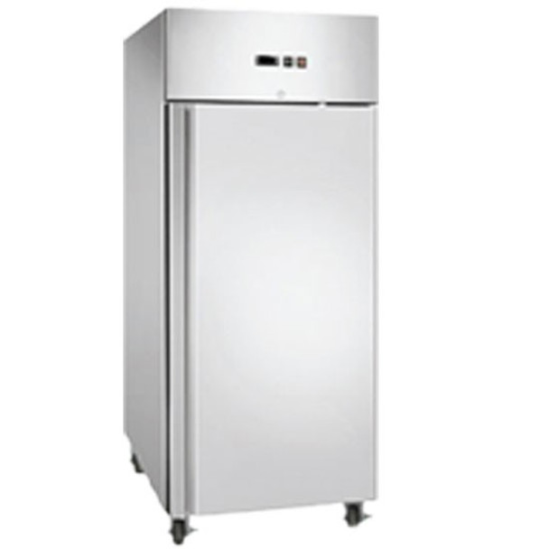 BROMIC - UF0650SDF 650L Freezer.