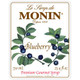 Monin Blueberry Syrup