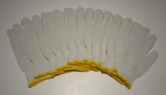 cotton-poly-gloves-1.jpg