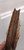 Original Murray 7 1/2" Free Wheel (B)