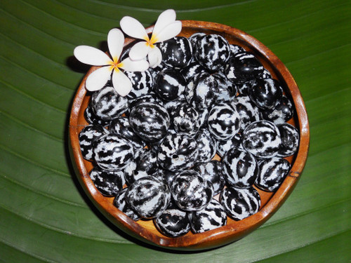 Natural Tiger Kukui Nuts