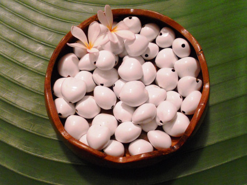 White painted kukui nuts