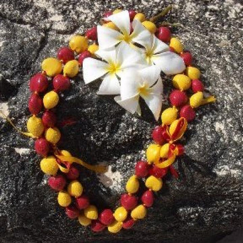 Red and Yellow Kukui Nut Lei - 10 Leis per Order