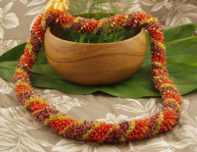 Fresh Hawaiian Flower Lei - Cigar