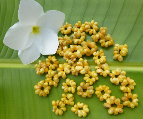 Loose Yellow Mongo Spacers - 300 per order