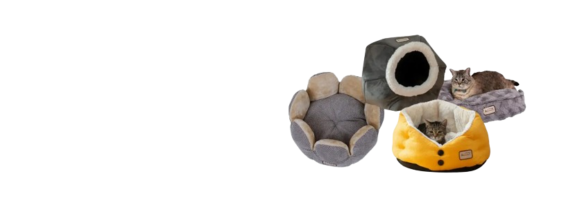 Cat Beds