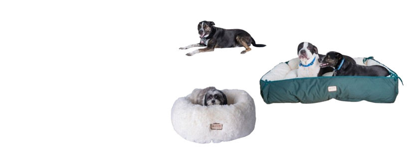 Dog Beds & Mats
